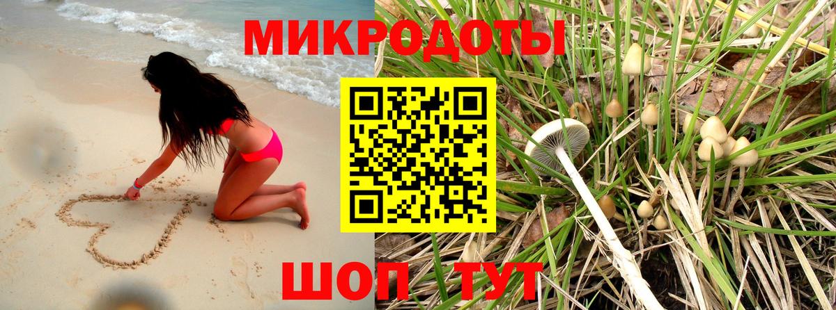 Псилоцибиновые грибы Magic Shrooms  Мегион  Галлюциногенные грибы MAGIC MUSHROOMS 