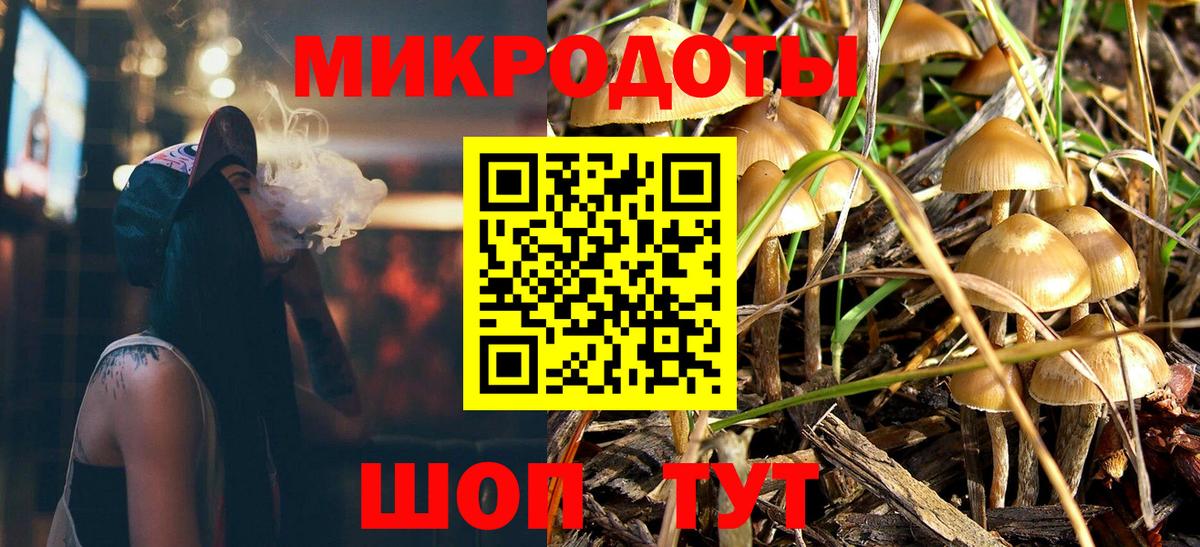 Галлюциногенные грибы Psilocybine cubensis Мегион