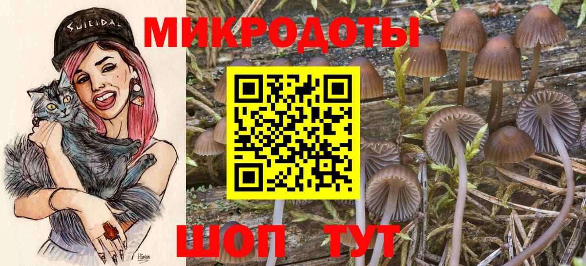Псилоцибиновые грибы прущие грибы Мегион
